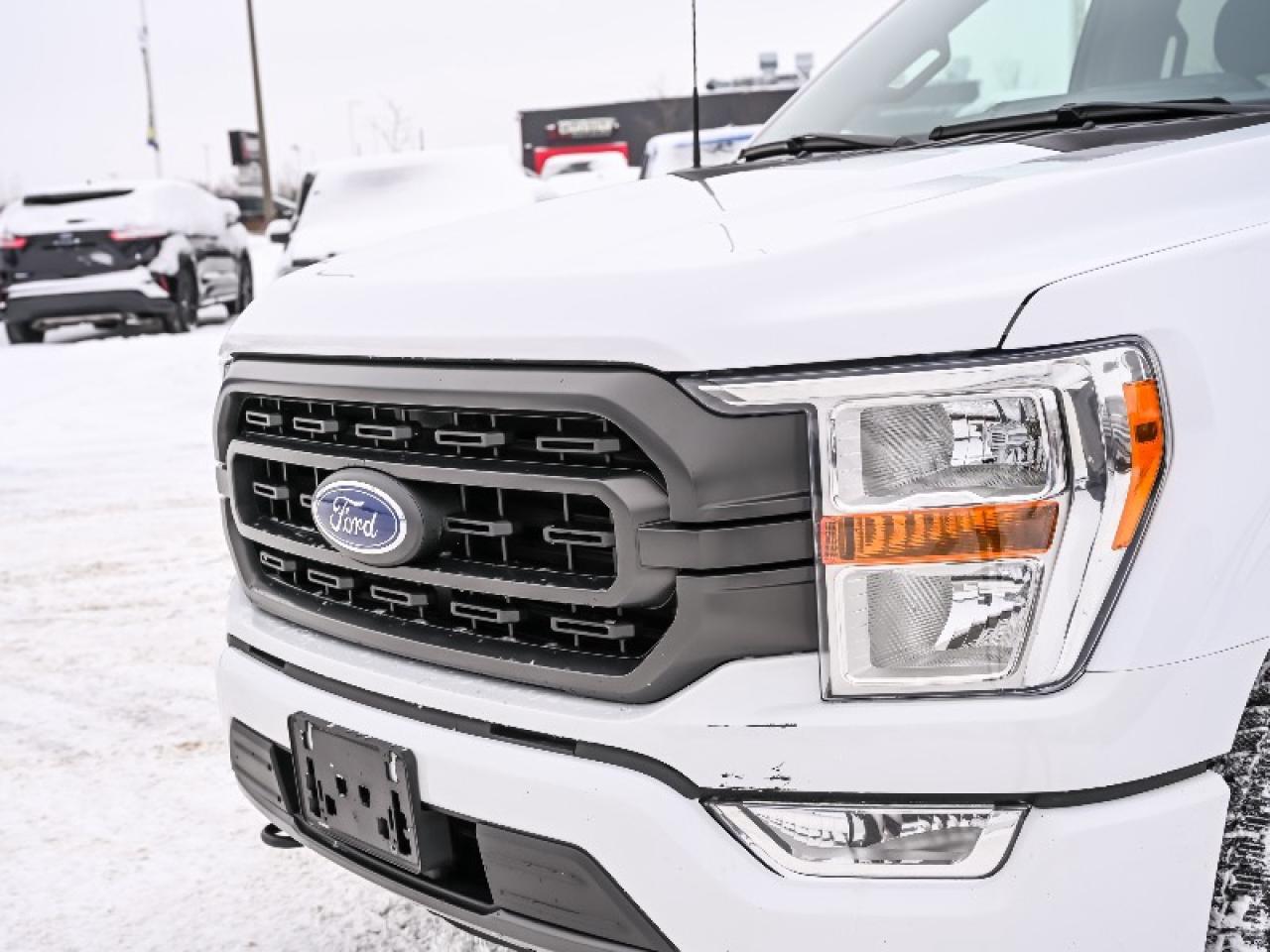 2021 Ford F-150 XLT Photo