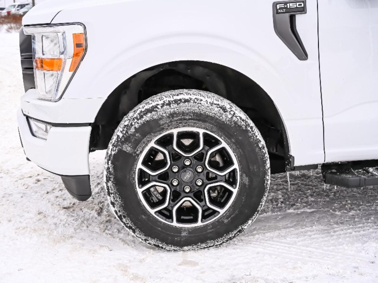 2021 Ford F-150 XLT Photo