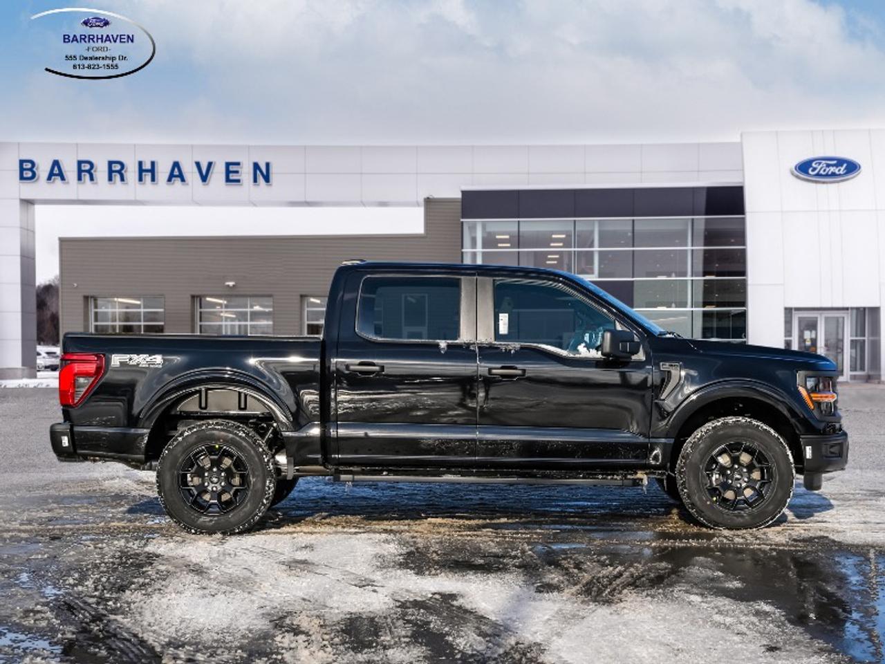 2025 Ford F-150 STX Photo