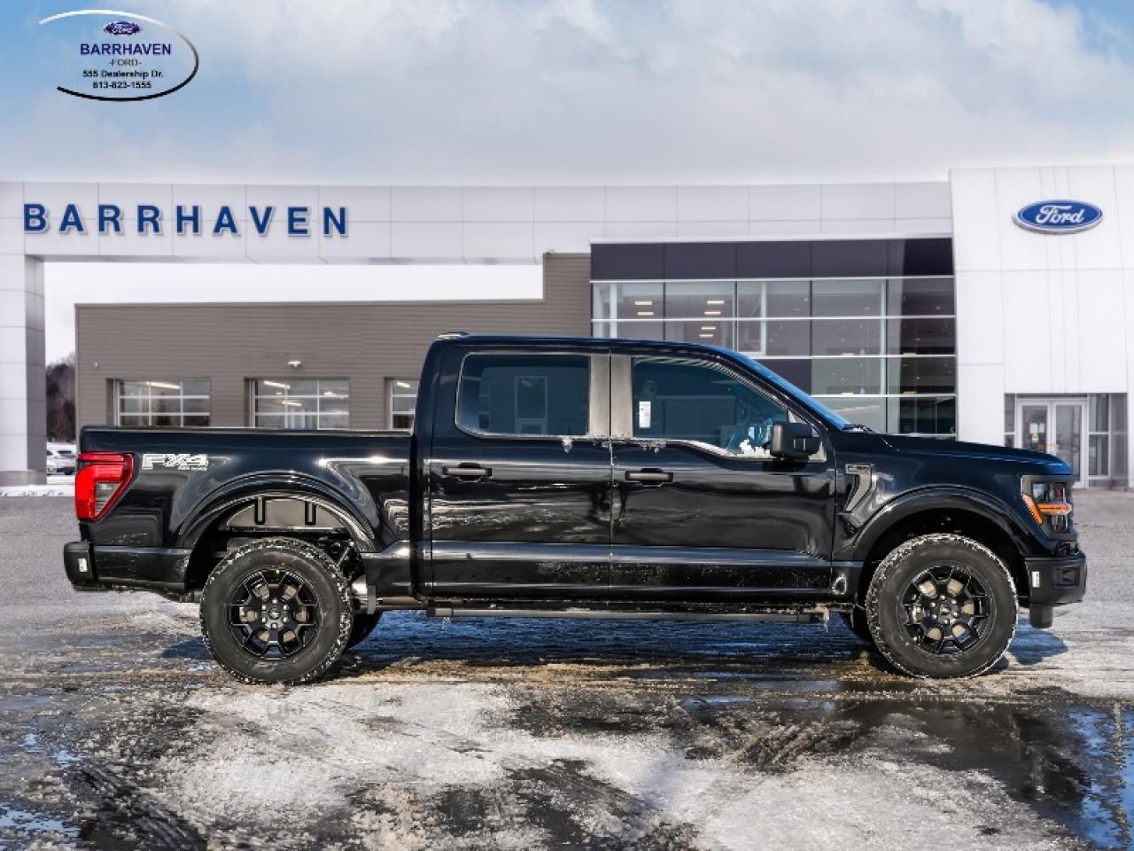 2025 Ford F-150 STX Photo