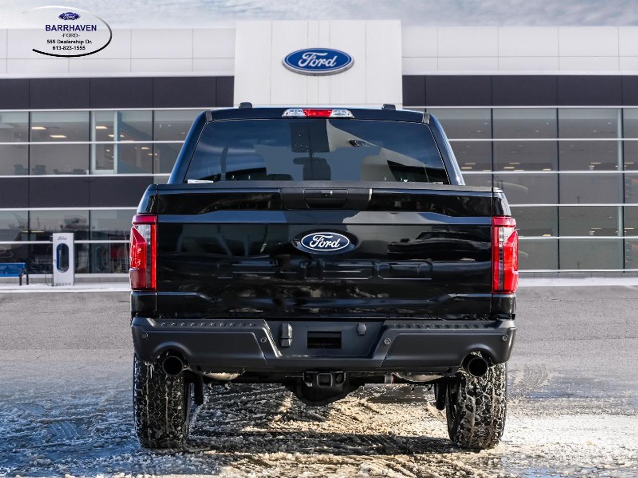 2025 Ford F-150 STX Photo