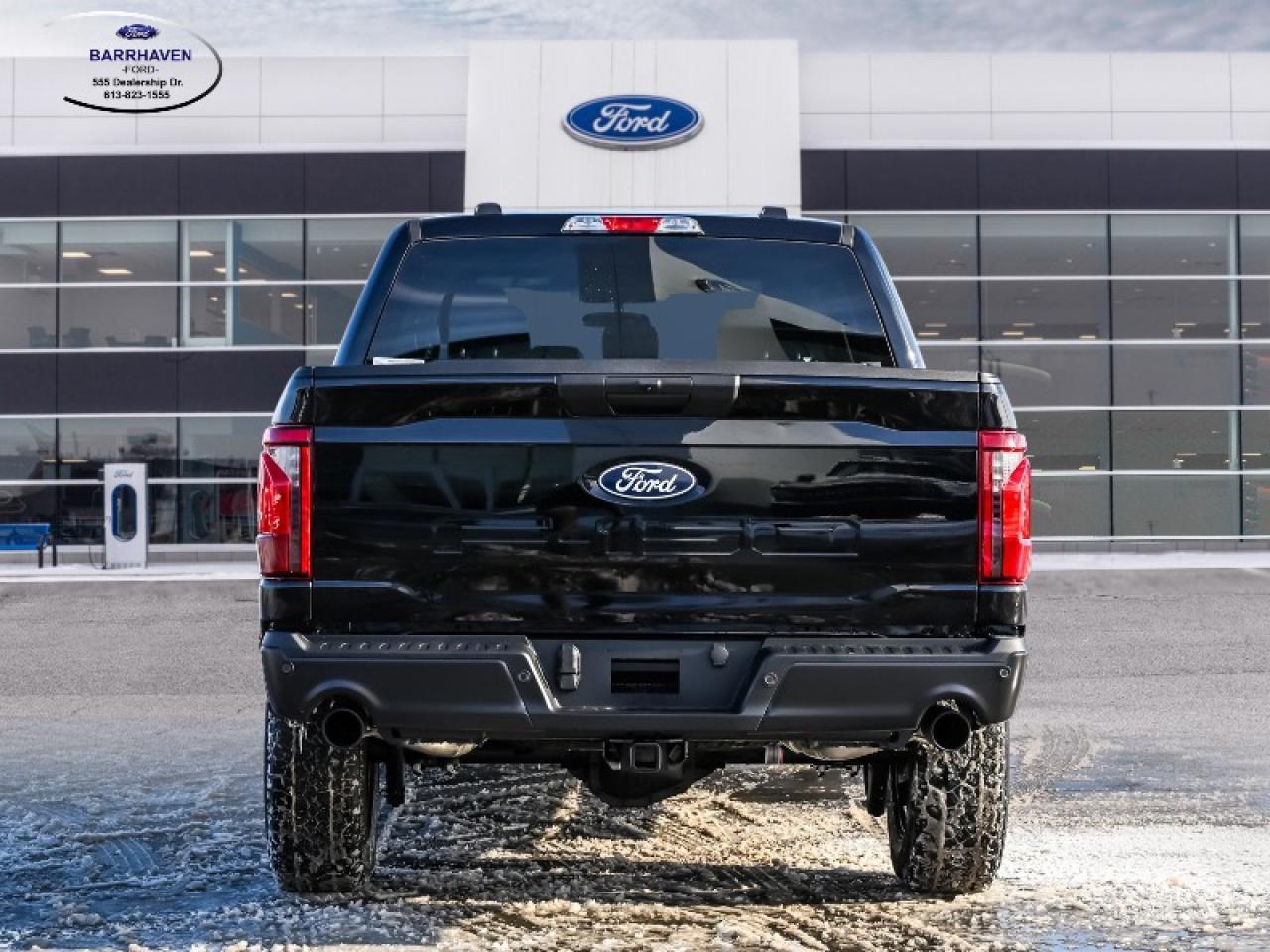 2025 Ford F-150 STX Photo3