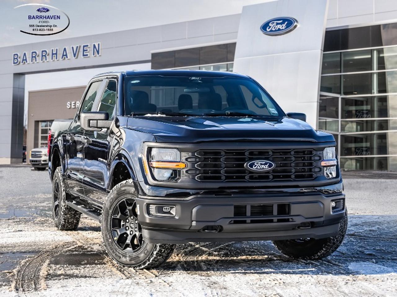 2025 Ford F-150 STX Photo