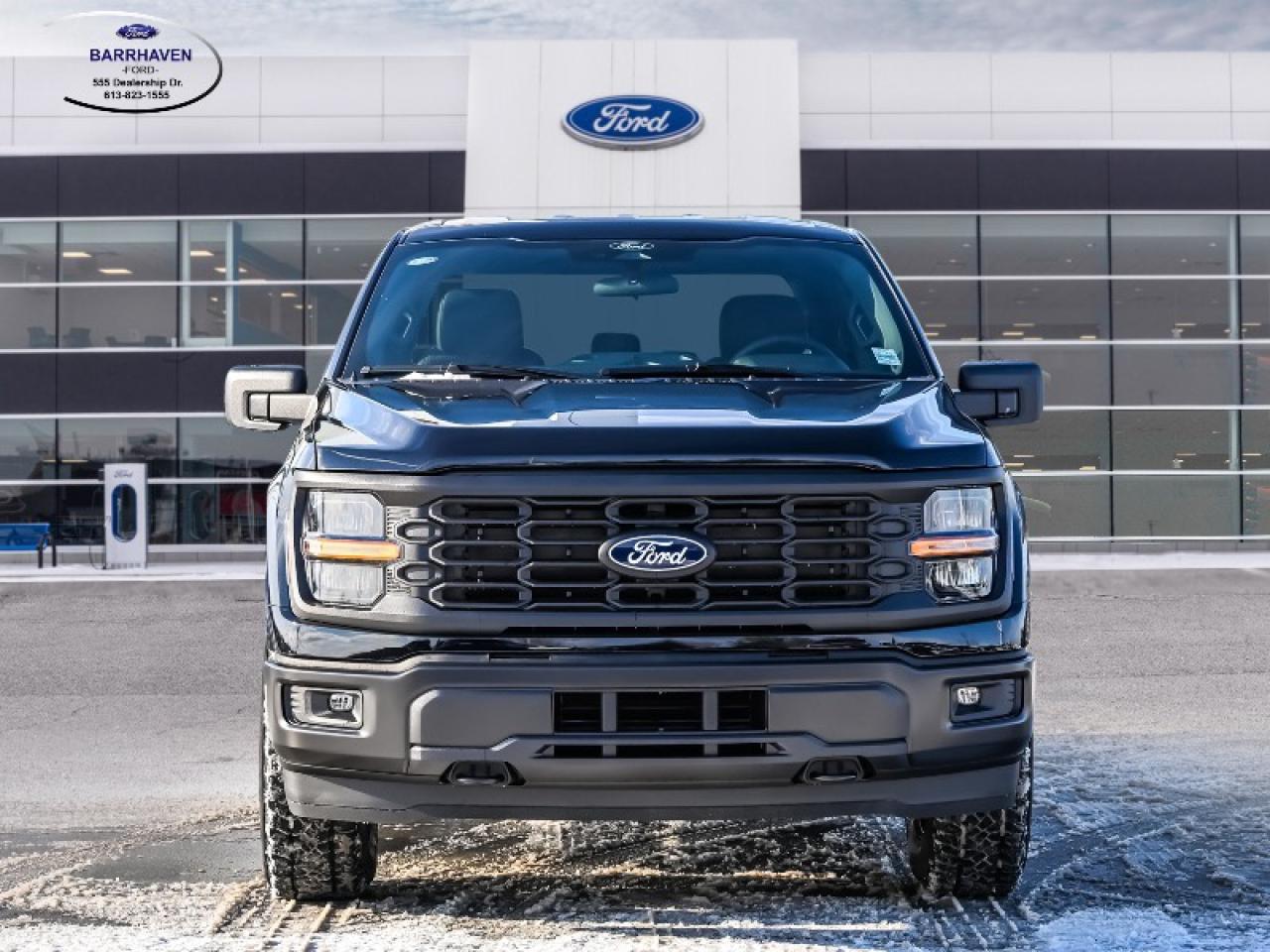 2025 Ford F-150 STX Photo