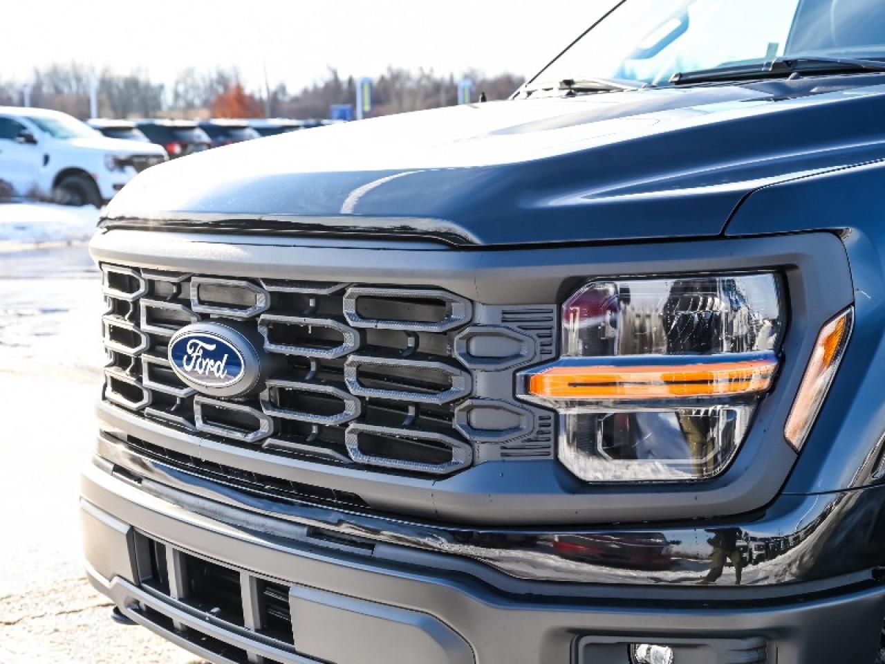 2025 Ford F-150 STX Photo
