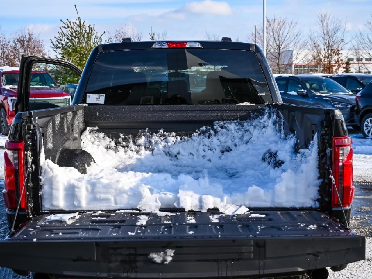 2025 Ford F-150 STX Photo