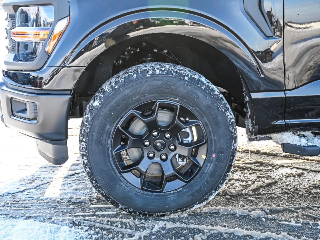 2025 Ford F-150 STX Photo