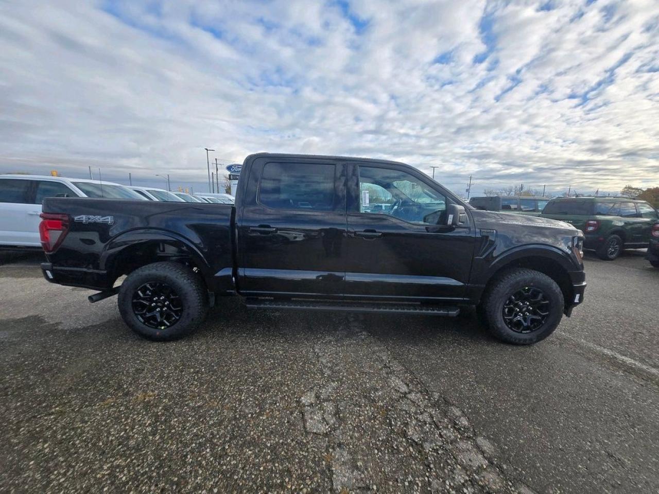 2025 Ford F-150 XLT Photo3