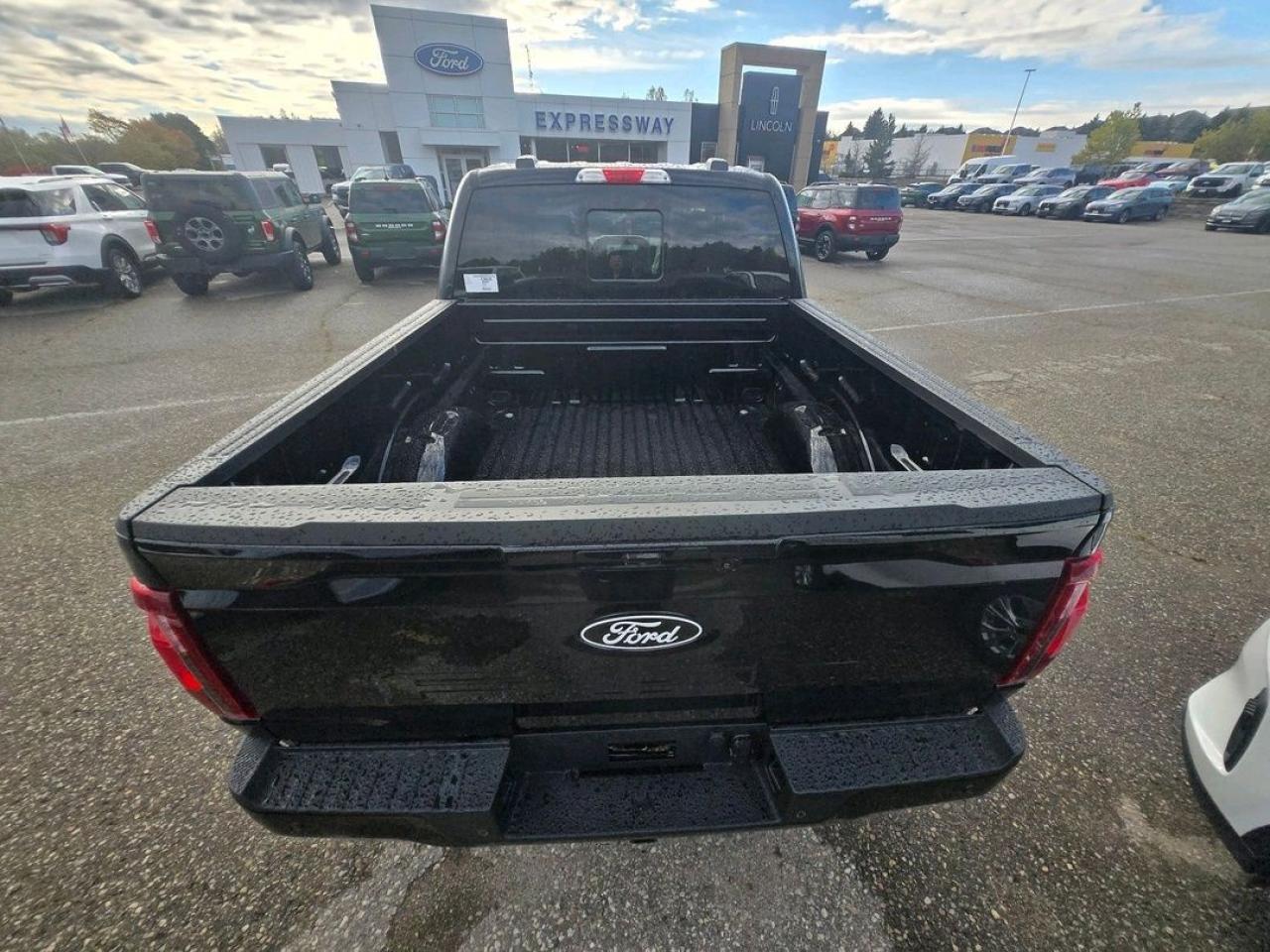 2025 Ford F-150 XLT Photo5