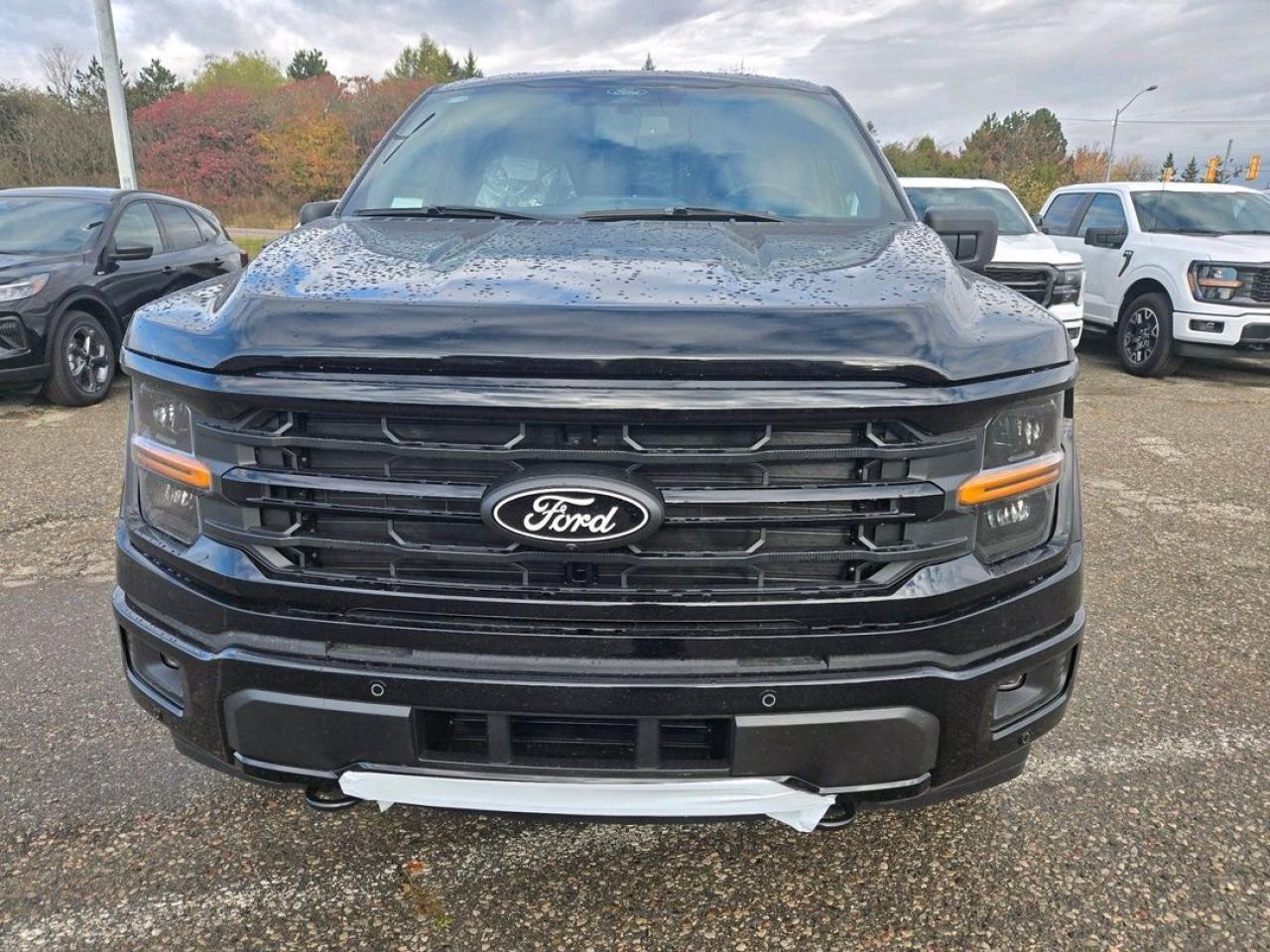 2025 Ford F-150 XLT Photo1