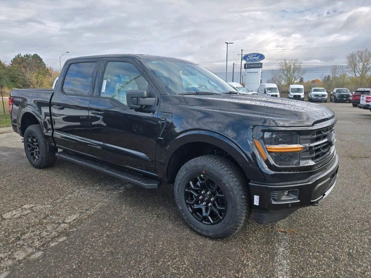 2025 Ford F-150 XLT Photo5