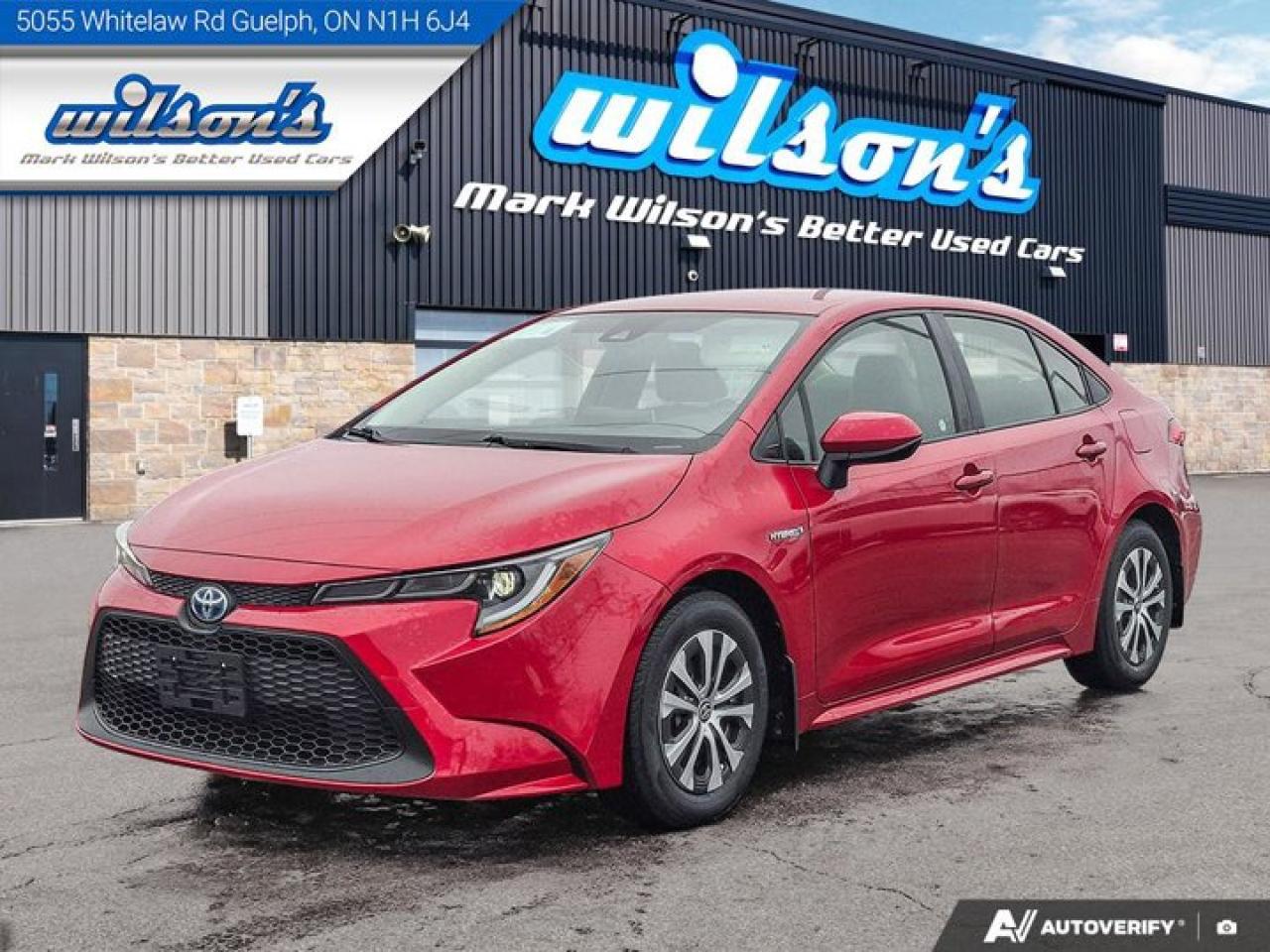 2021 Toyota Corolla Hybrid | Leather | Heated Seats | Adaptive Cruise | Rear Camera | CarPlay + Android | and More ! Photo0