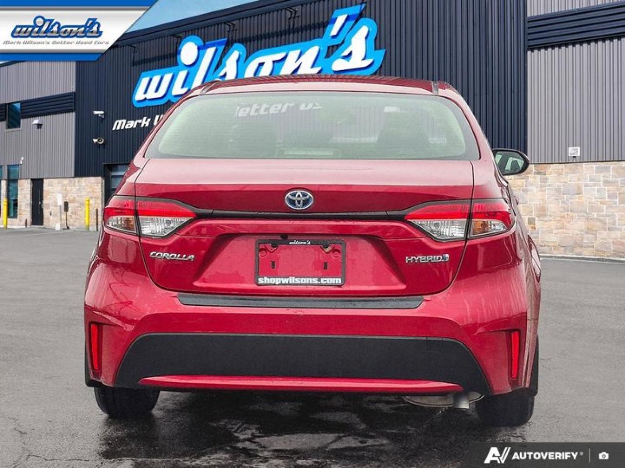 2021 Toyota Corolla Hybrid | Leather | Heated Seats | Adaptive Cruise | Rear Camera | CarPlay + Android | and More ! Photo3