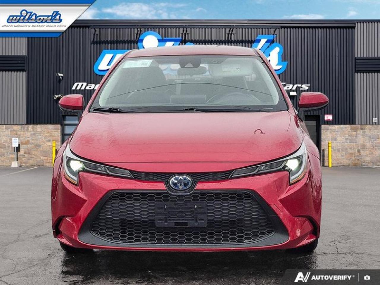 2021 Toyota Corolla Hybrid | Leather | Heated Seats | Adaptive Cruise | Rear Camera | CarPlay + Android | and More ! Photo
