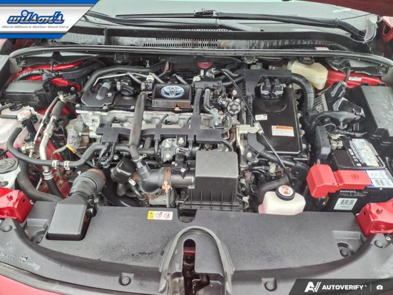 2021 Toyota Corolla Hybrid | Leather | Heated Seats | Adaptive Cruise | Rear Camera | CarPlay + Android | and More ! Photo