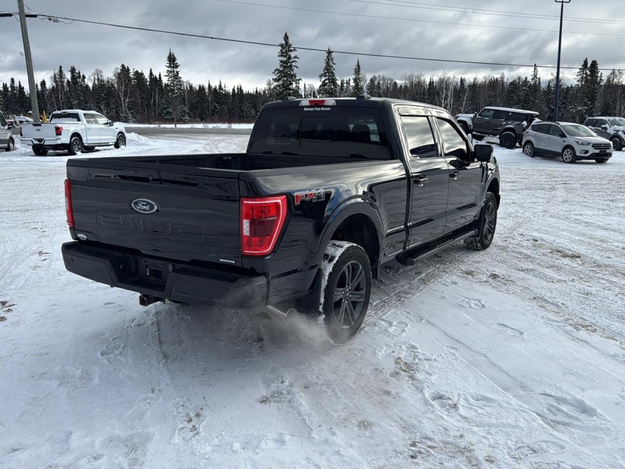 2023 Ford F-150 XL Photo