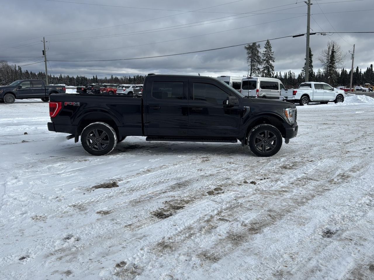 2023 Ford F-150 XL Photo3