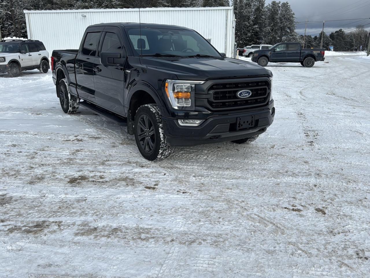 2023 Ford F-150 XL Photo2