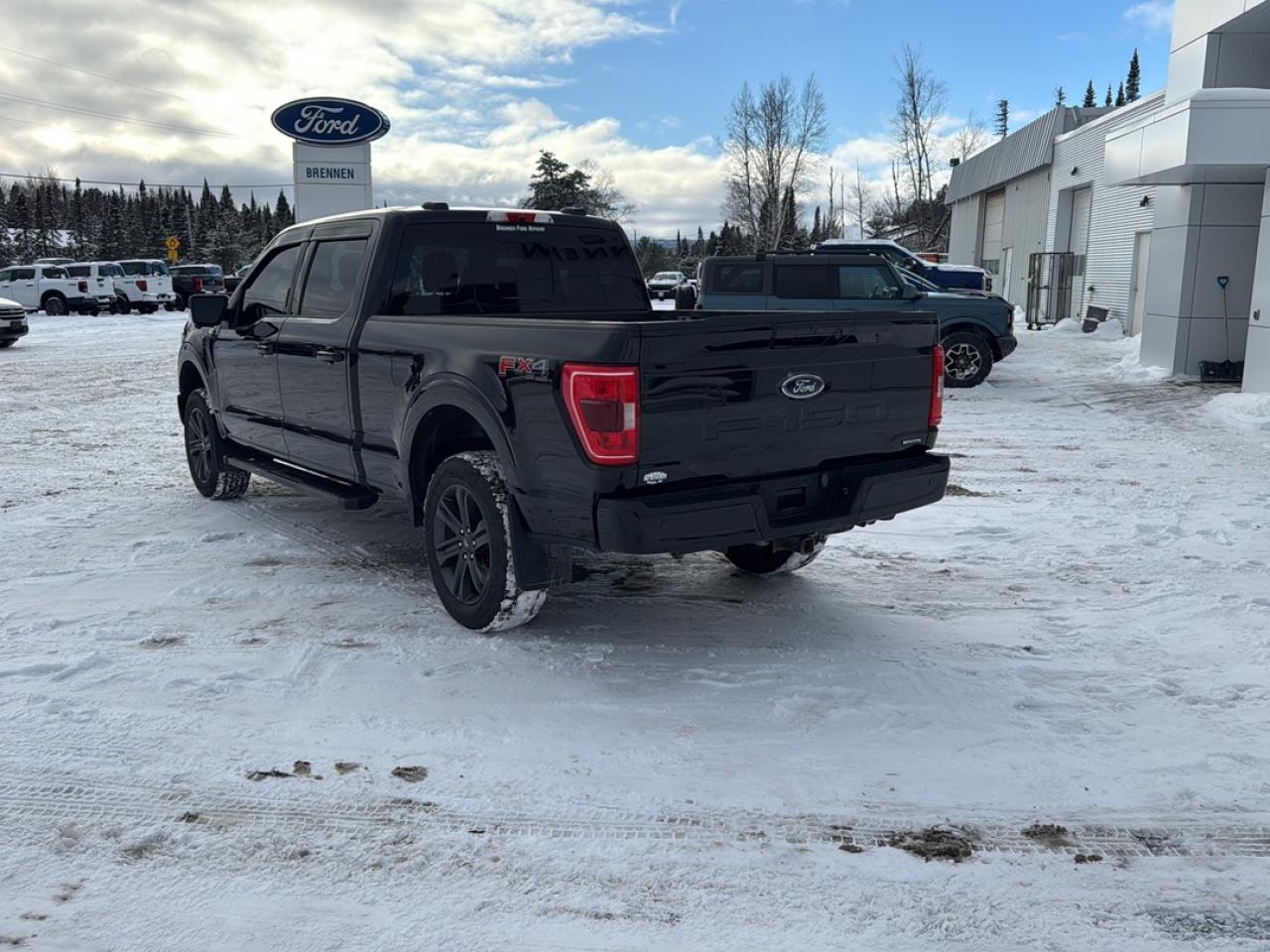 2023 Ford F-150 XL Photo