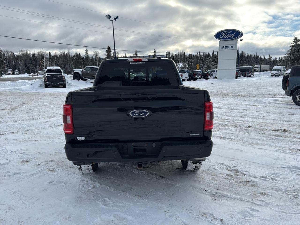 2023 Ford F-150 XL Photo