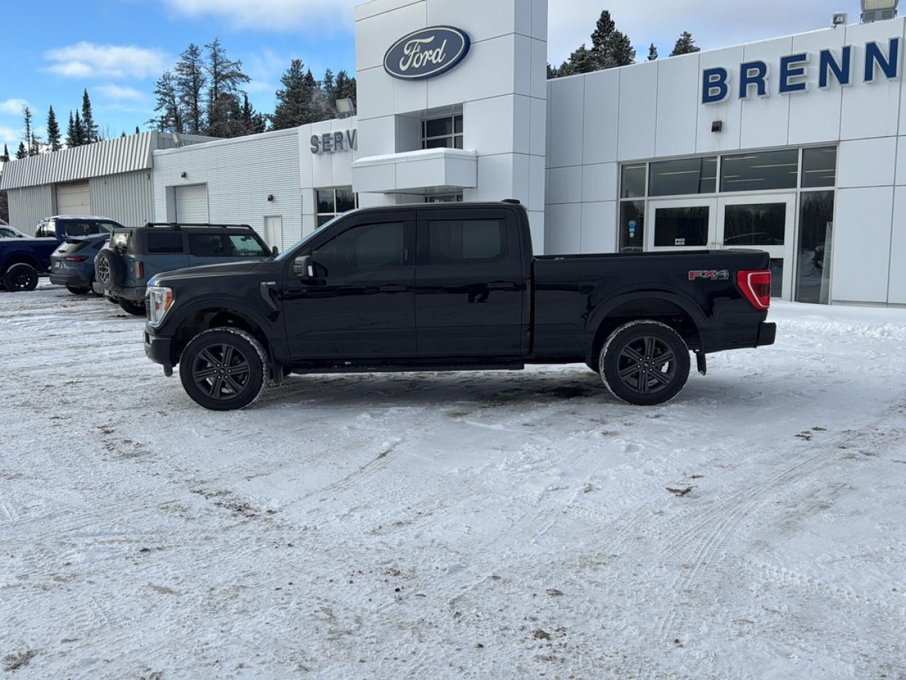 2023 Ford F-150 XL Photo