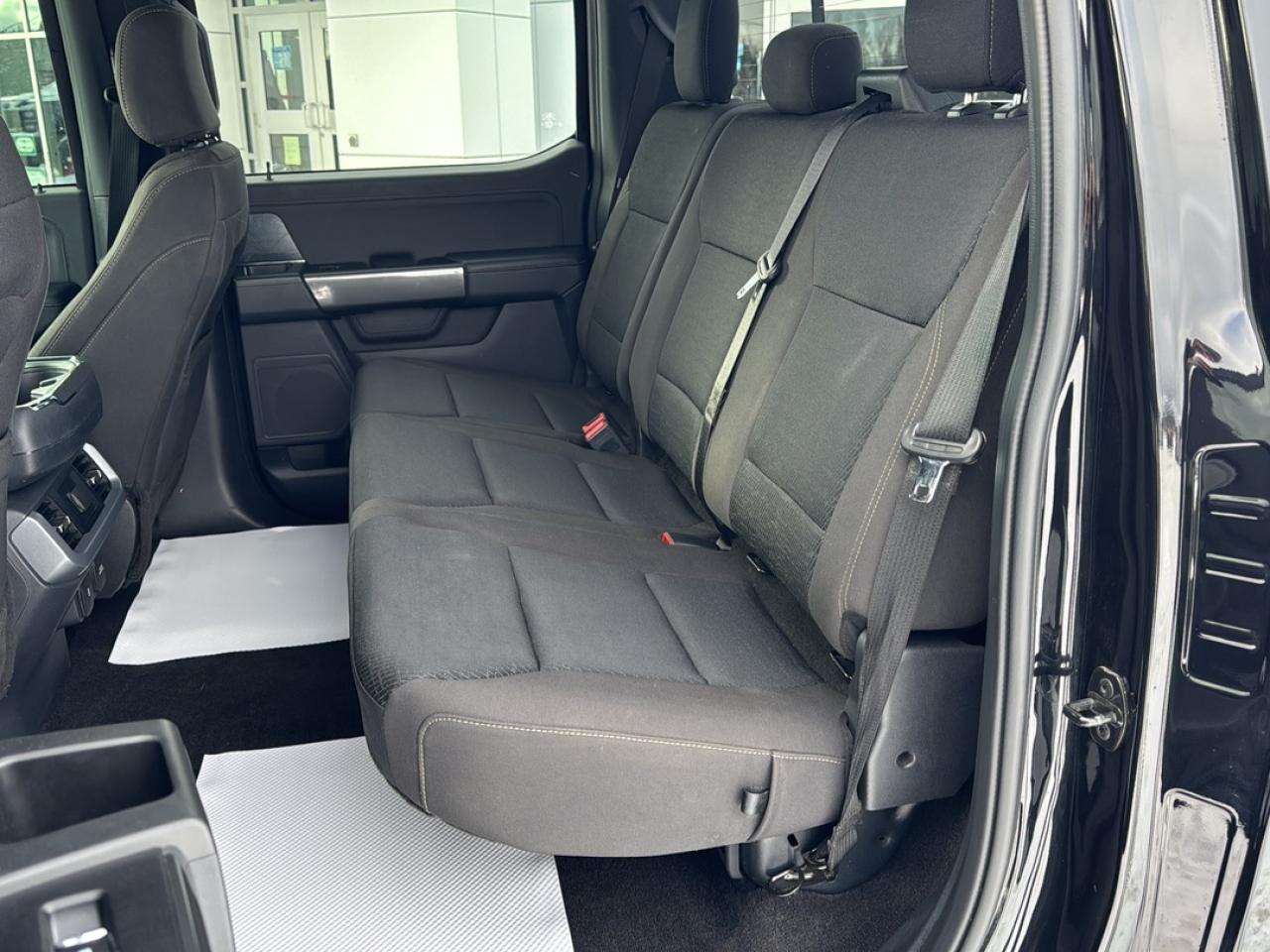 2023 Ford F-150 XL Photo