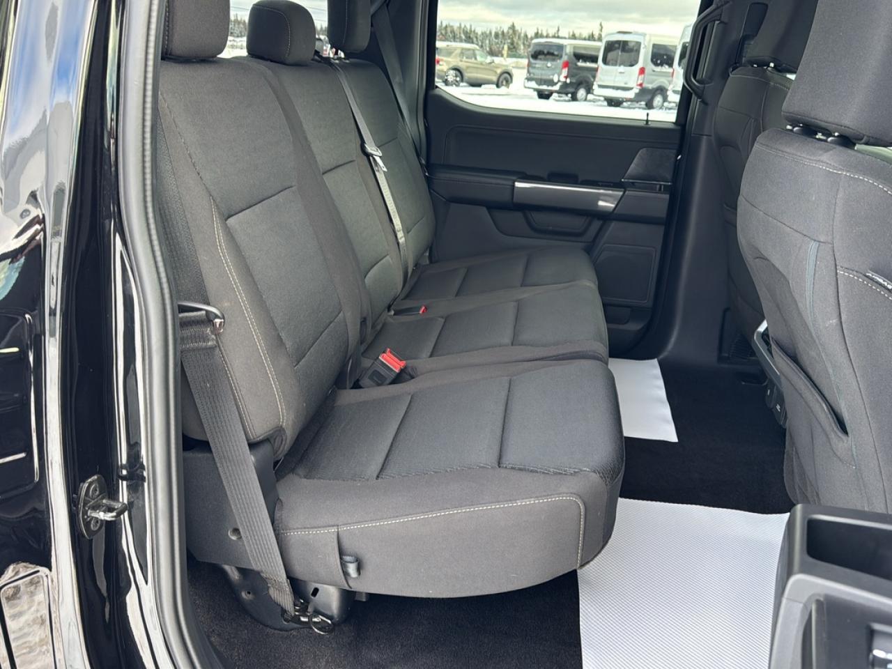 2023 Ford F-150 XL Photo