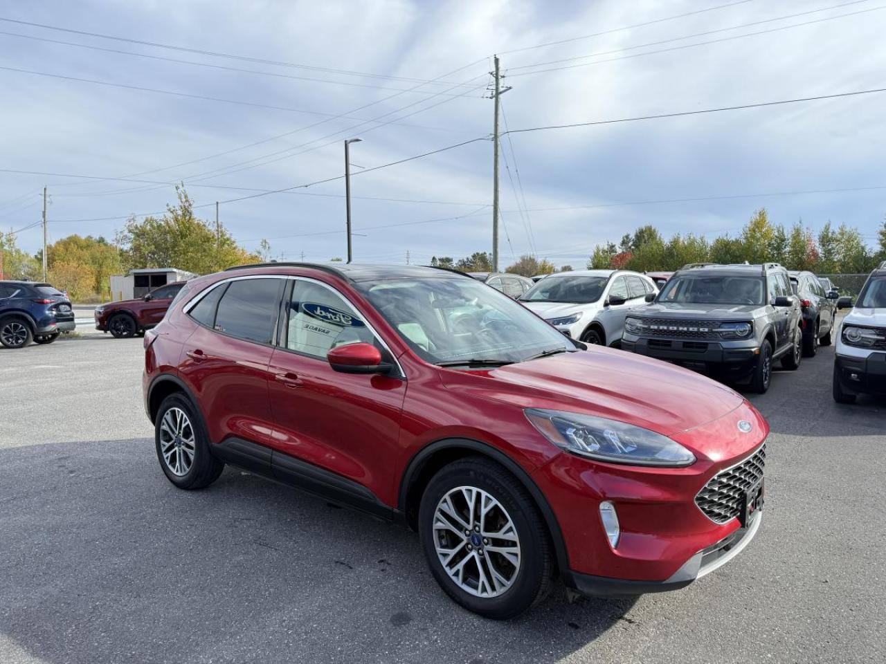 2022 Ford Escape SEL AWD Photo