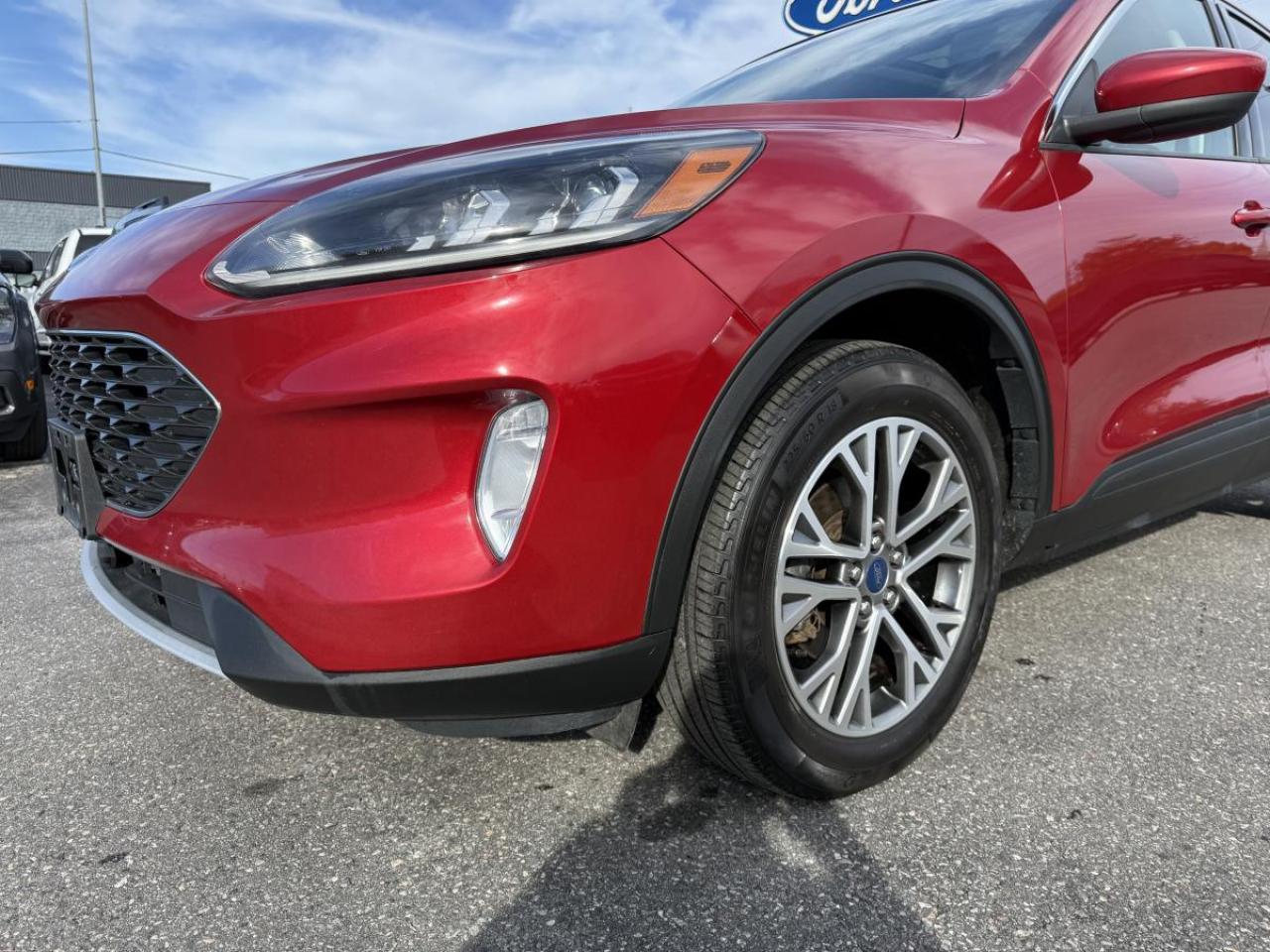 2022 Ford Escape SEL AWD Photo