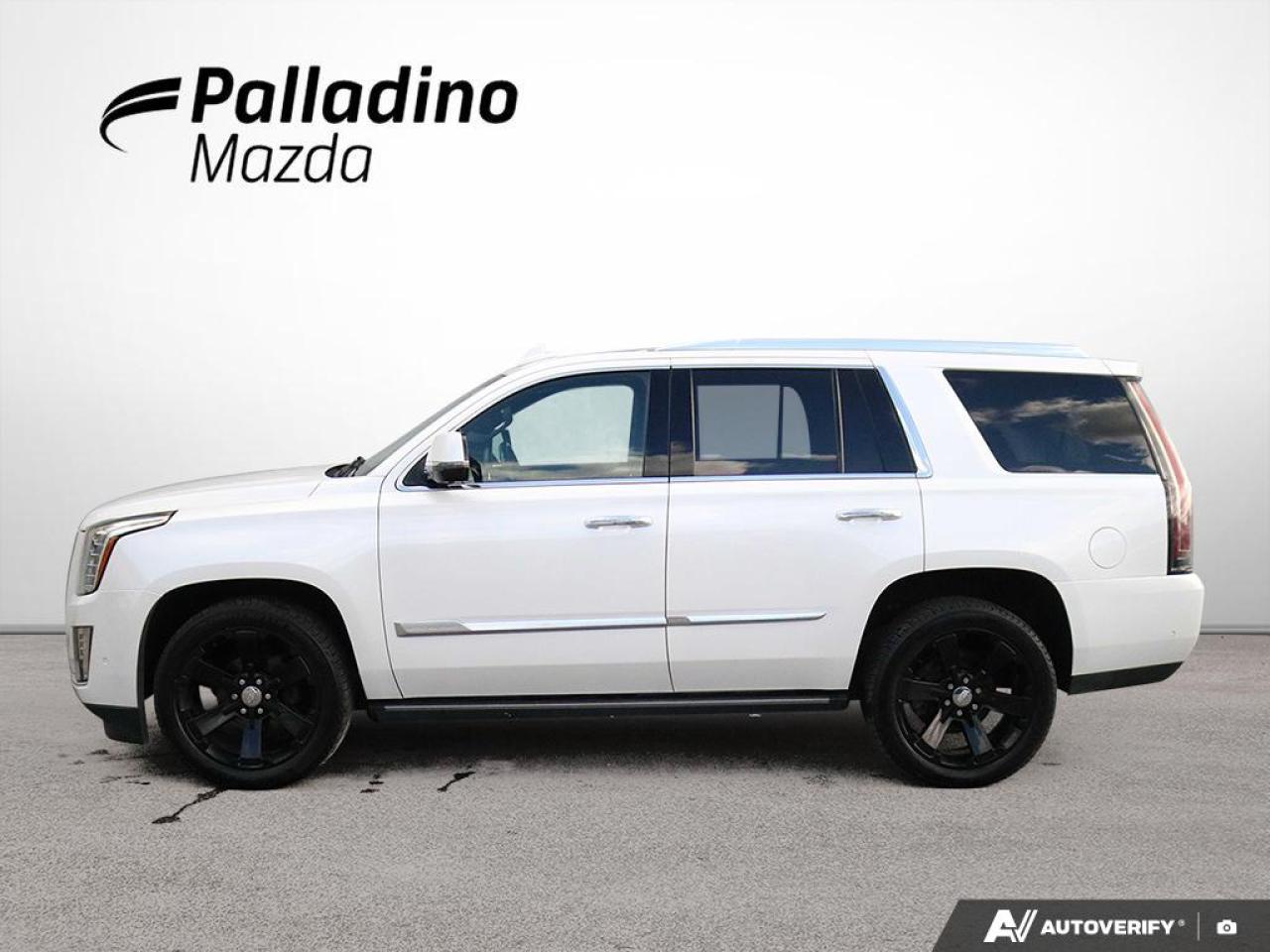 2019 Cadillac Escalade Platinum Photo