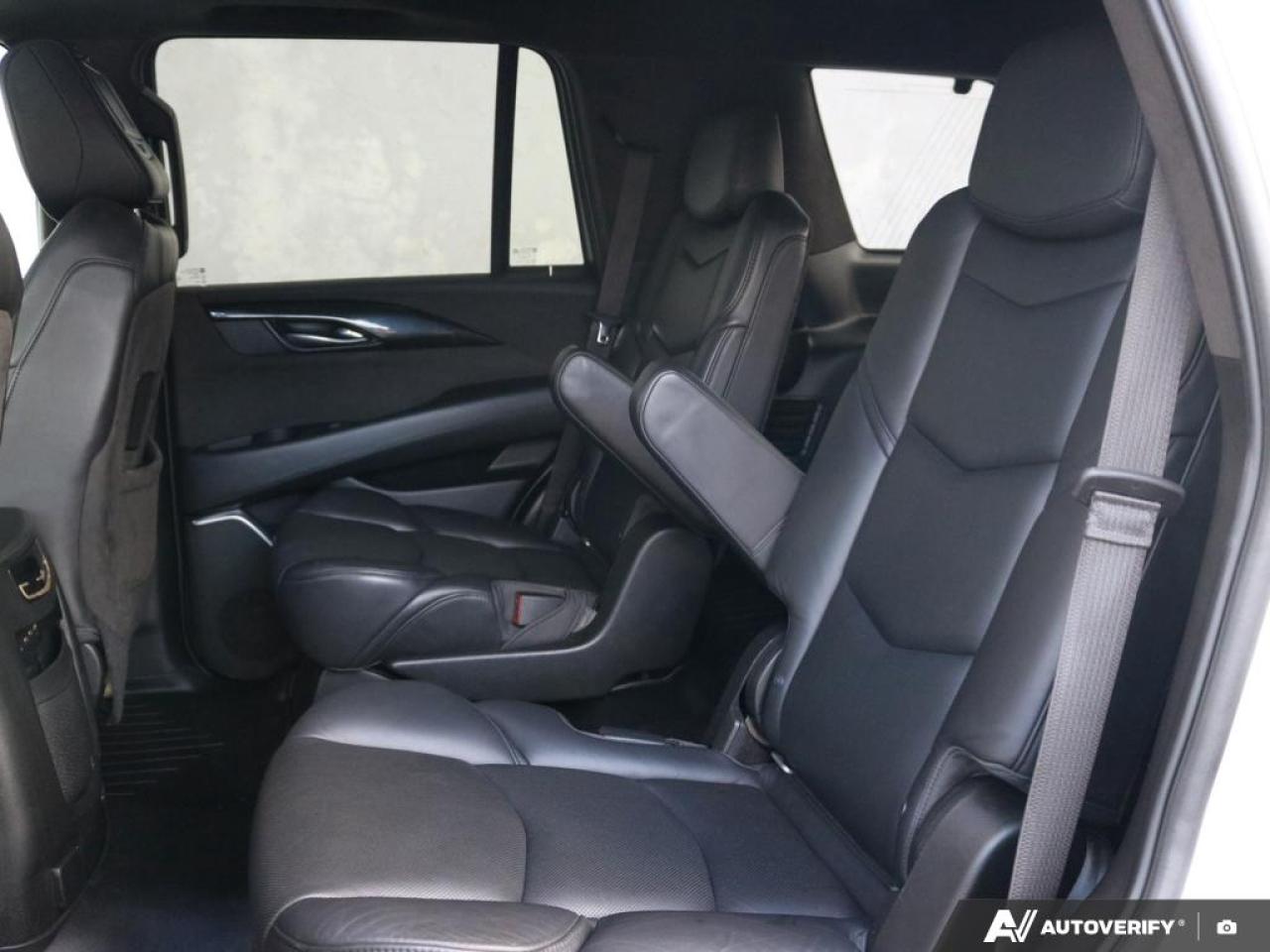 2019 Cadillac Escalade Platinum Photo