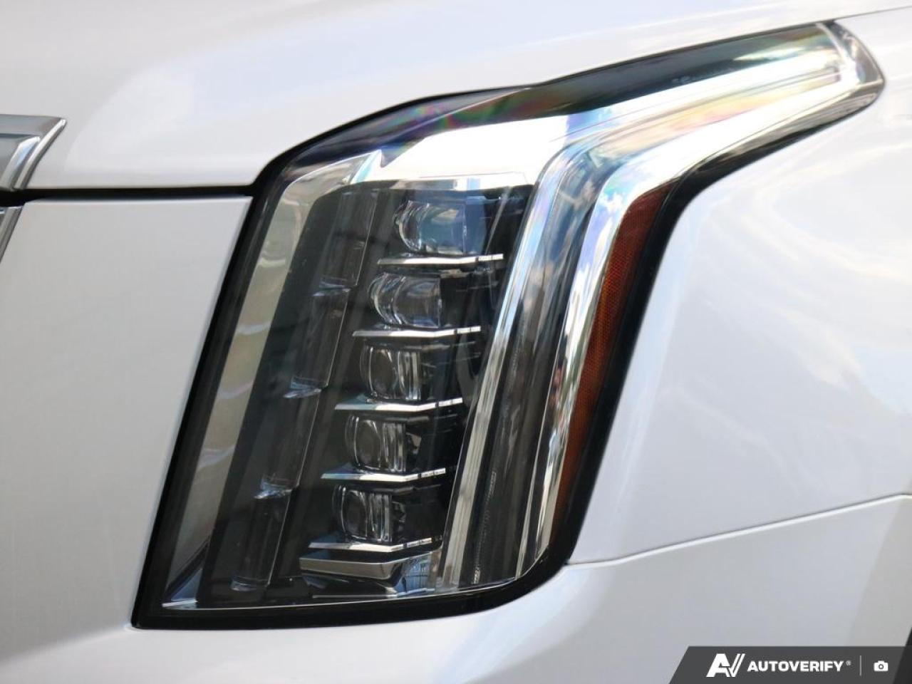 2019 Cadillac Escalade Platinum Photo