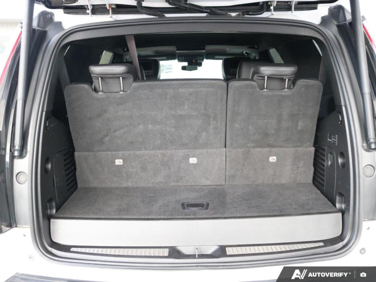 2019 Cadillac Escalade Platinum Photo