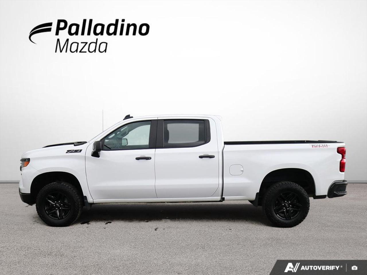 2023 Chevrolet Silverado 1500 Custom Trail Boss Photo2