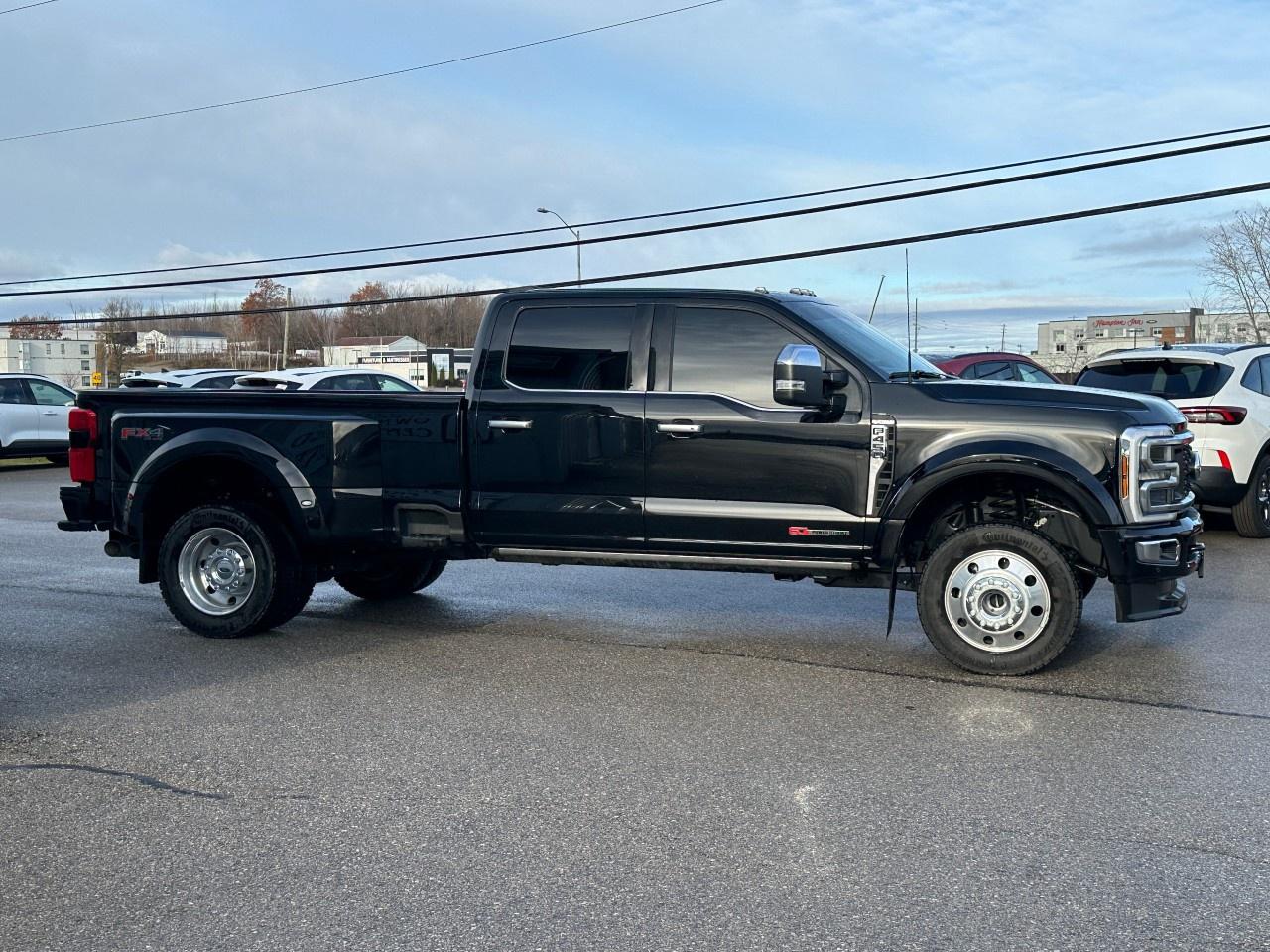 2025 Ford F-450 Super Duty DRW PLATINUM 4WD CREW CAB 8' BOX Photo