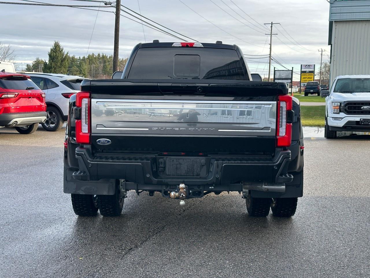 2025 Ford F-450 Super Duty DRW PLATINUM 4WD CREW CAB 8' BOX Photo