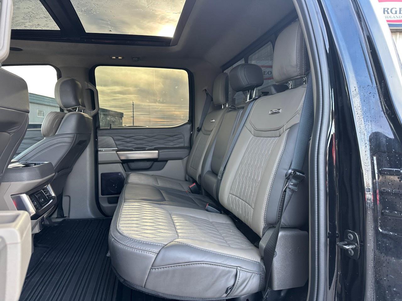 2025 Ford F-450 Super Duty DRW PLATINUM 4WD CREW CAB 8' BOX Photo