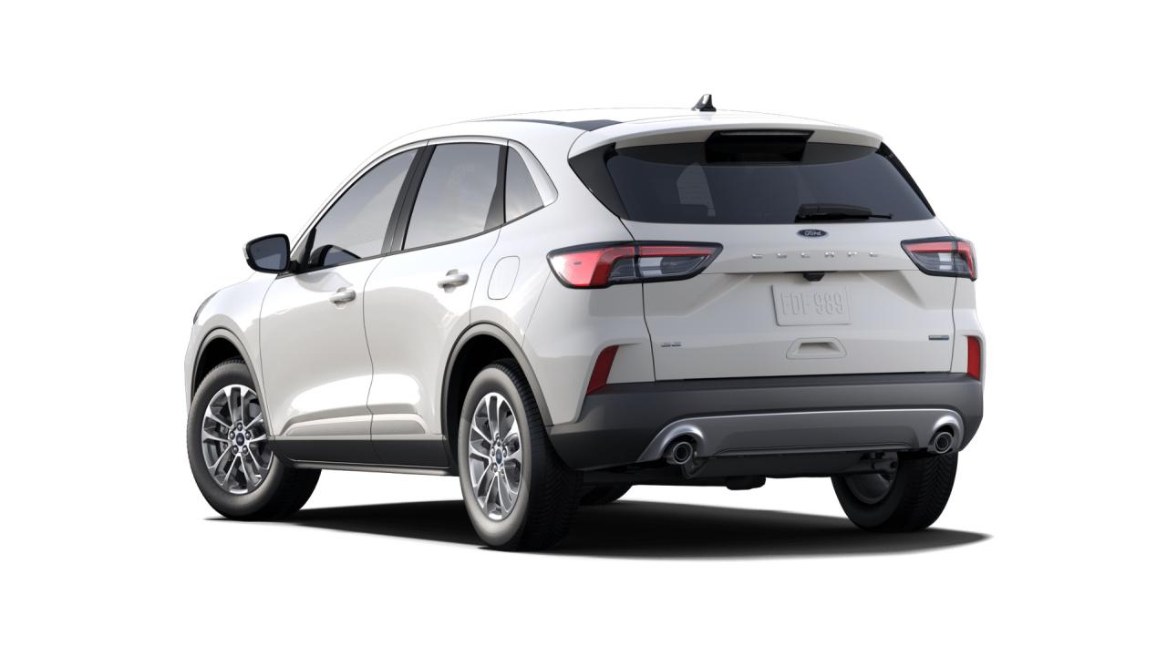 2020 Ford Escape SE Photo5