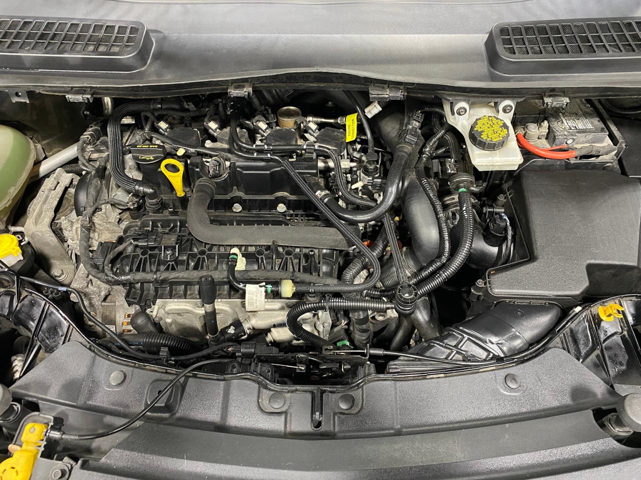 2017 Ford Escape 4WD 4dr SE Photo