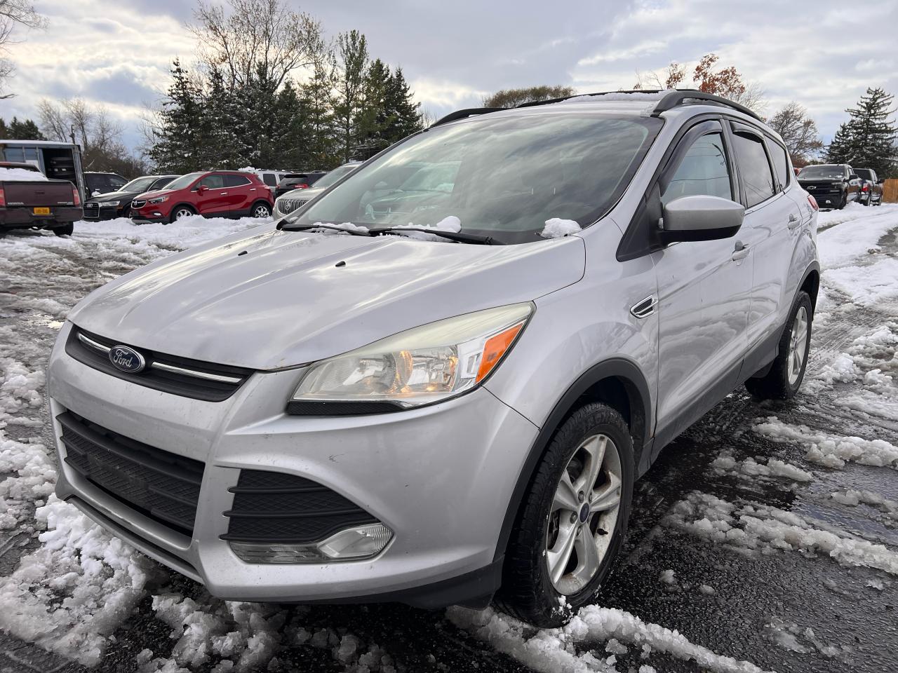 2013 Ford Escape SE Photo