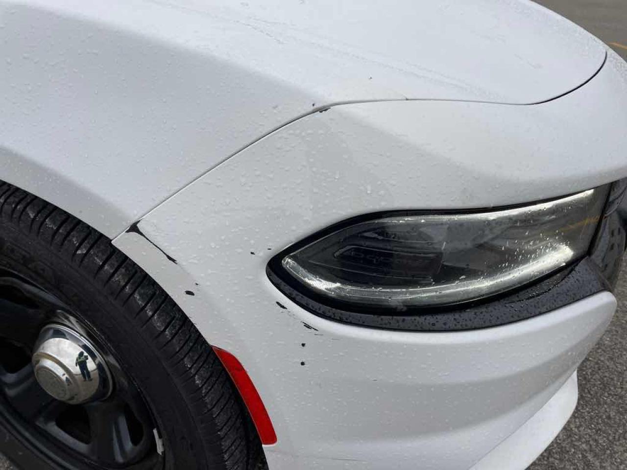 2019 Dodge Charger Police - Photo #33