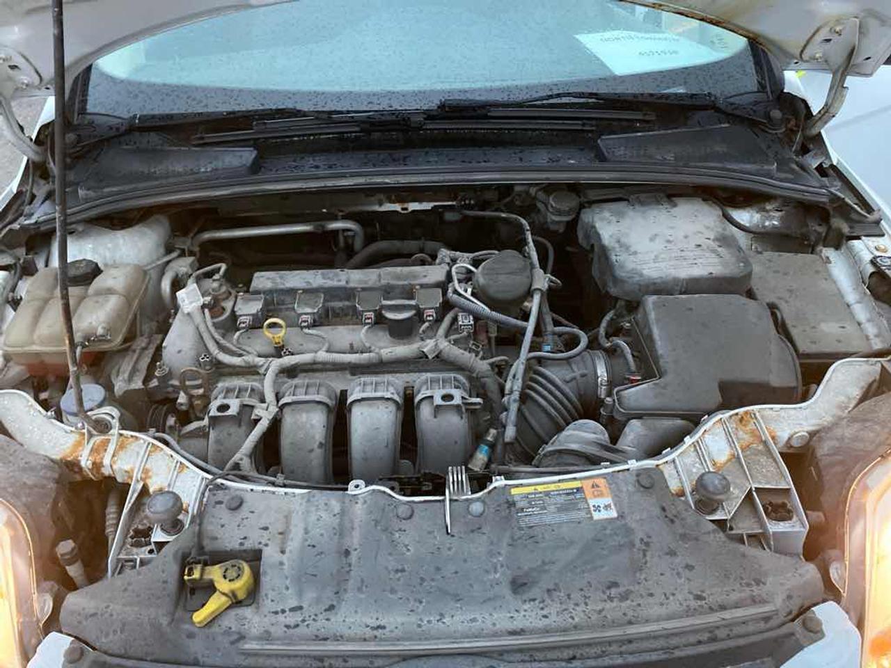2014 Ford Focus SE Photo