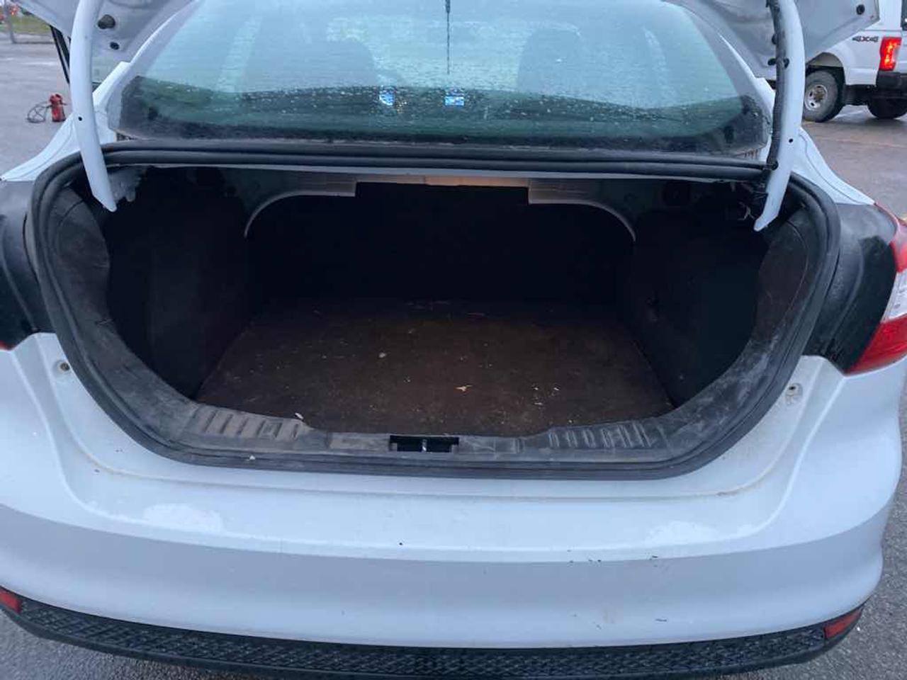 2014 Ford Focus SE Photo