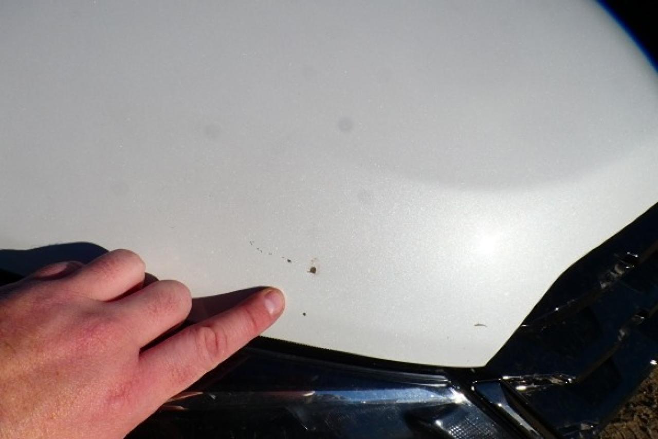 2024 Nissan Kicks SR FWD w/Htd Leather, BUC - Photo #28