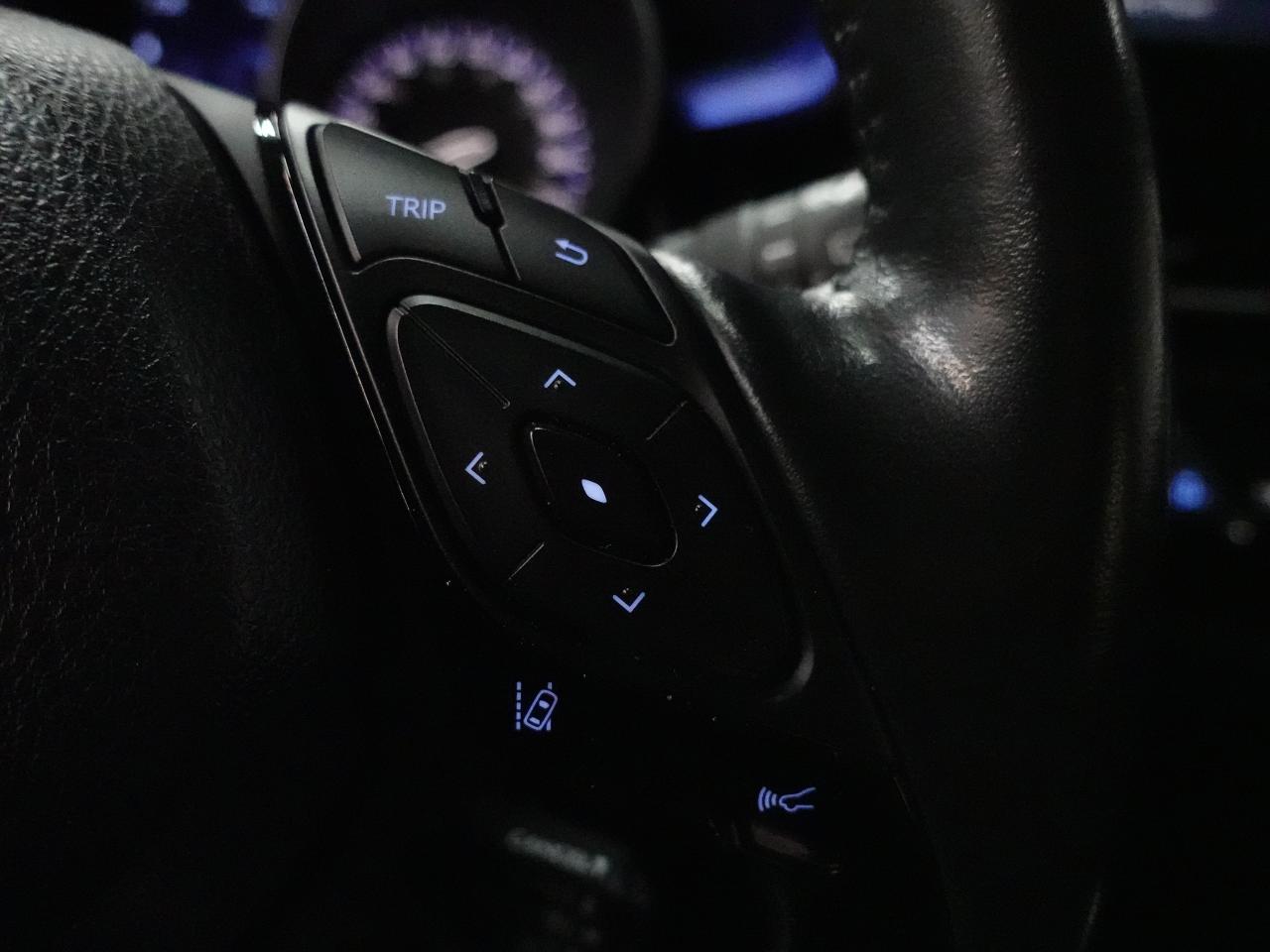 2022 Toyota C-HR XLE PREMIUM | LaneDep | Heated Seats | CarPlay Photo