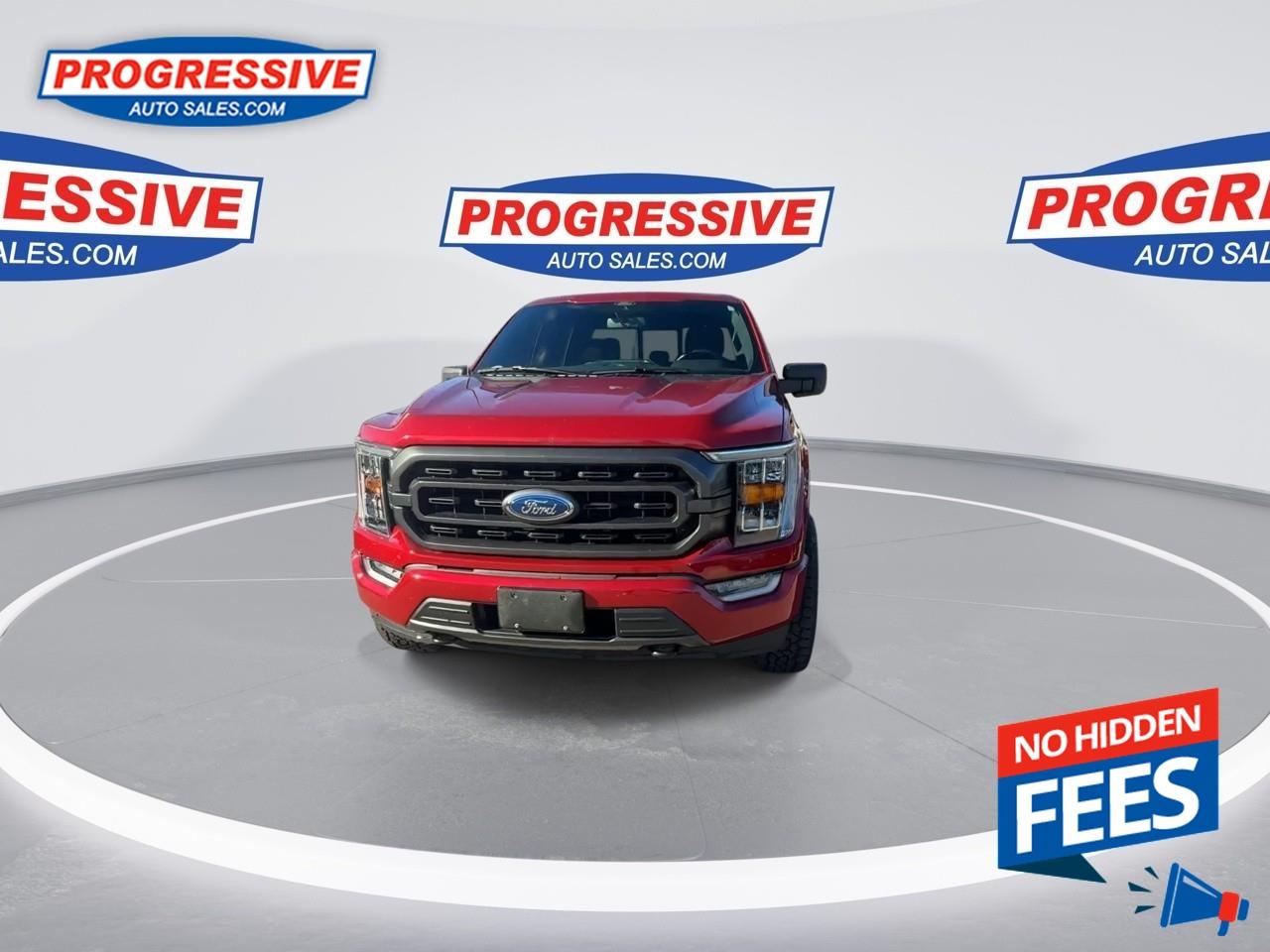 2021 Ford F-150 XLT Photo3