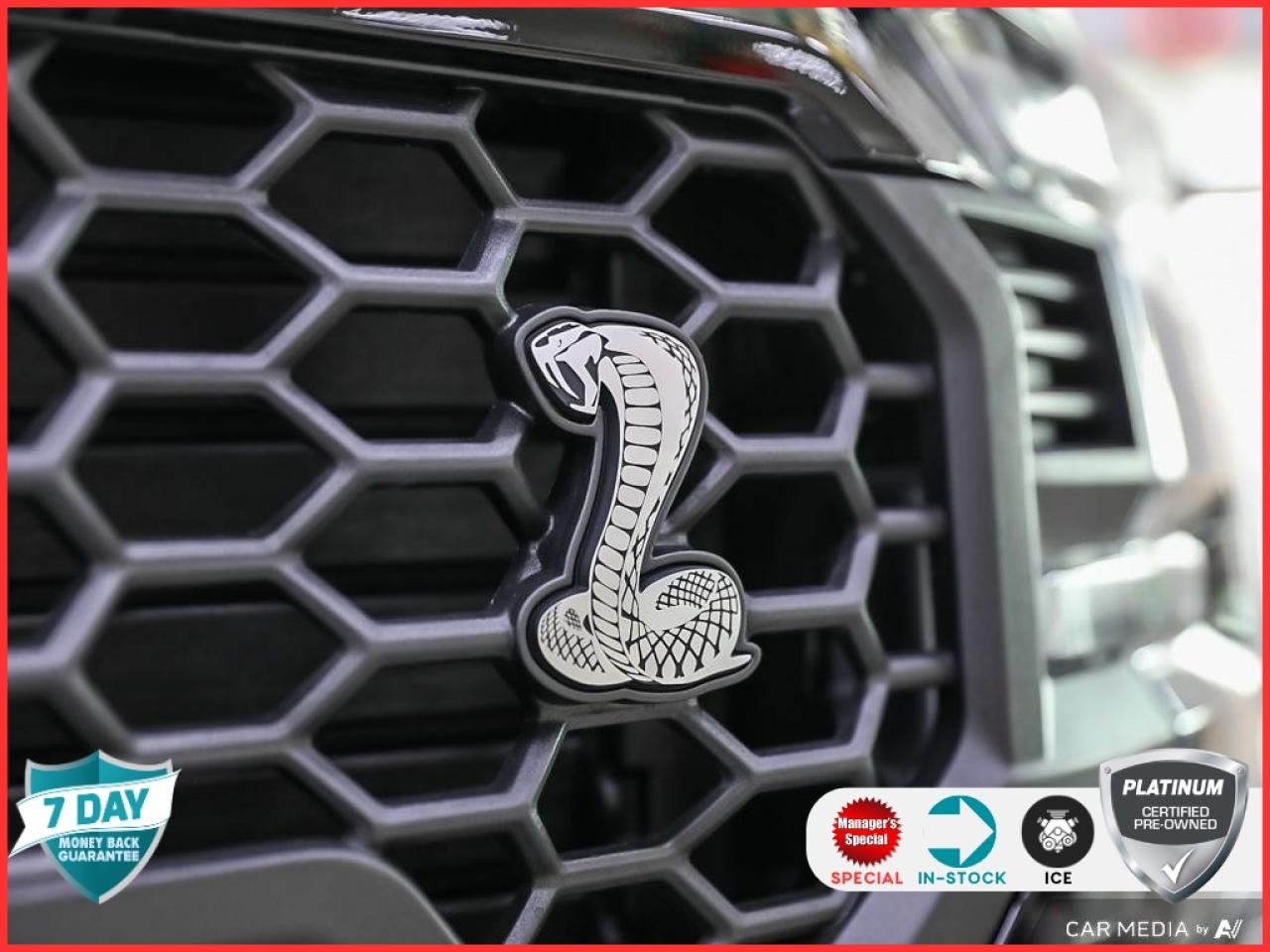 2024 Ford F-150 Lariat SHELBY  | NAVIGATION SYSTEM | B&O SOUNDS SY Photo