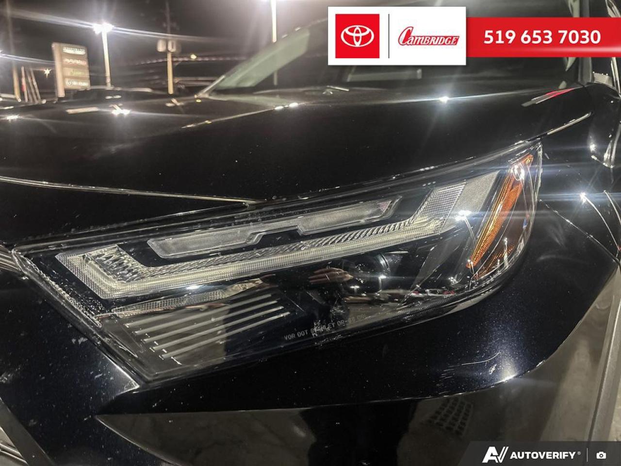 2024 Toyota RAV4 LIMITED  Photo