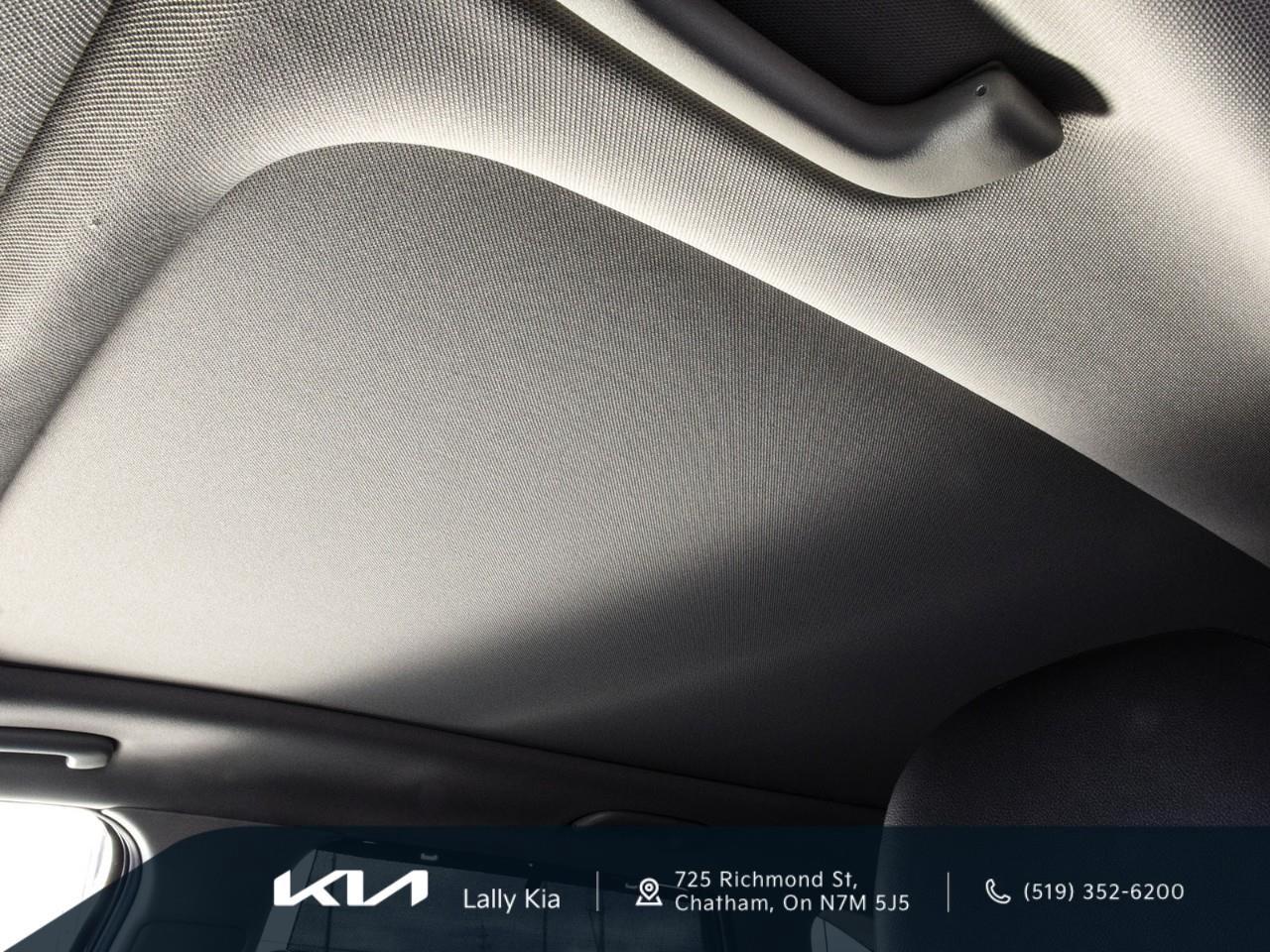 2022 Kia Sorento 2.5T SX w/Black Leather New Arrival | Low KMs | Clean CarFax | Leather | Roof | Nav Photo