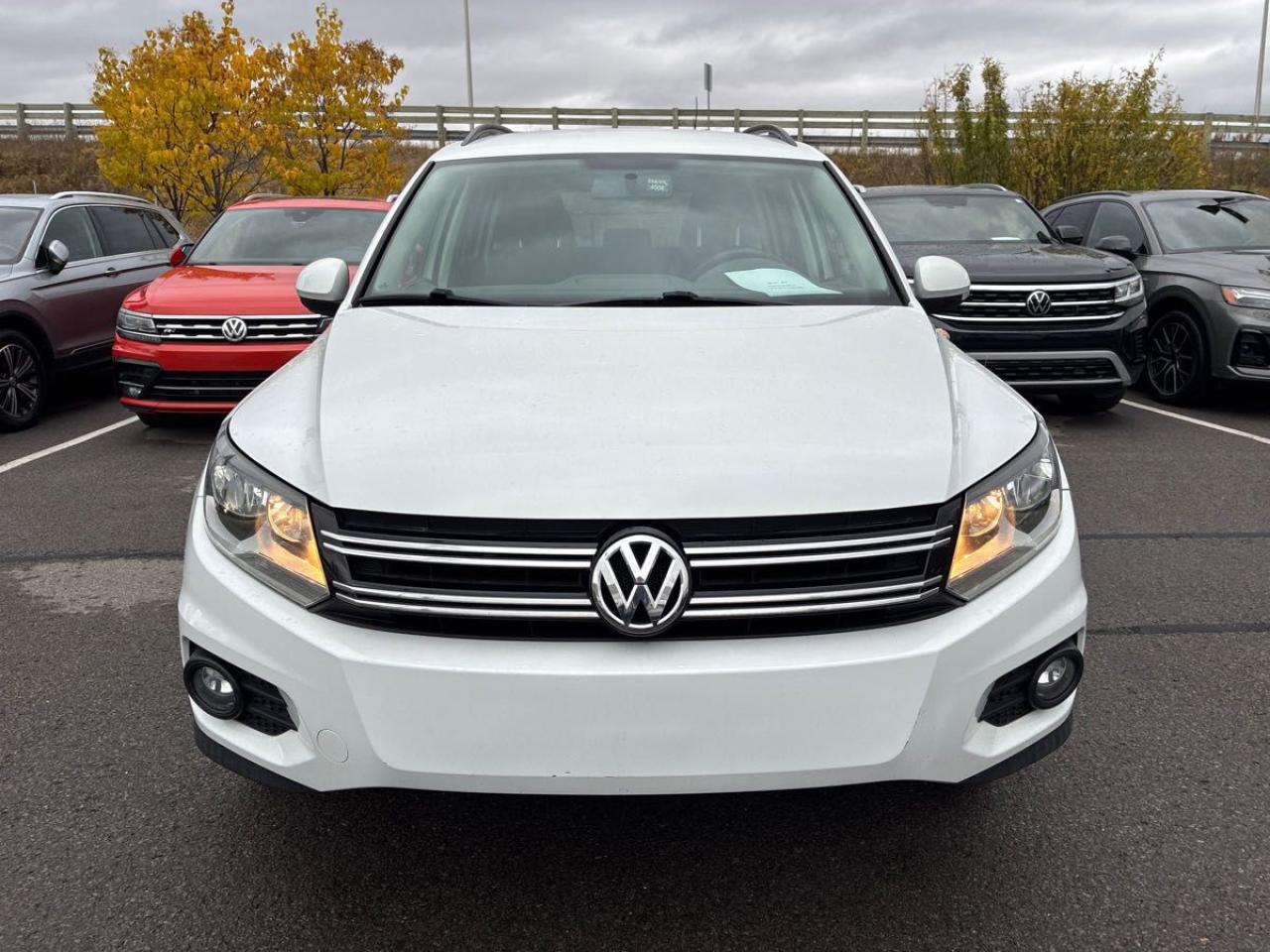 2014 Volkswagen Tiguan Trendline